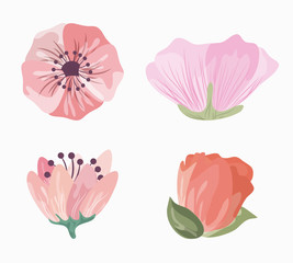 Floral concept represented by flower icon set over white background. Colorfull and drawing illustration