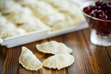 raw dumplings with filling