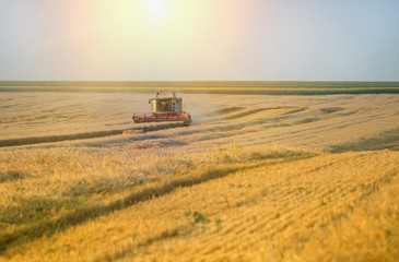 Fototapeta premium Combine harvester working