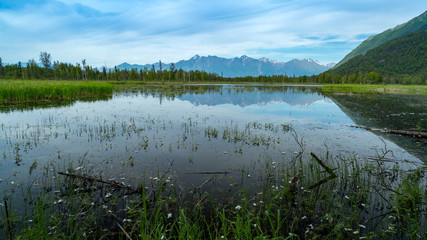 Alaska Landscapes