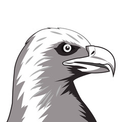 Eagle icon. Animal and art design. Vector graphic