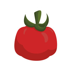 Organic and Healthy food concept represented by tomato icon. Isolated and flat illustration 