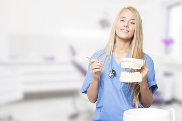 Female dentist, keeps in hand model of teeth.
