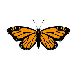 Insect concept represented by orange Butterfly icon. Isolated and flat illustration 