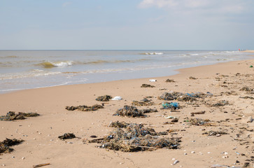 pollution at Dutch North Sea coast