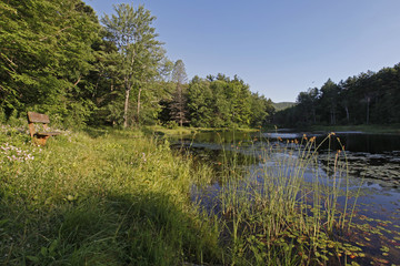 Fototapeta premium Pond in Wild Acres in the Berkshire Mountains of Western Massachusetts.
