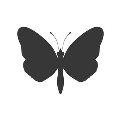Insect concept represented by Butterfly silhouette icon. Isolated and flat illustration 