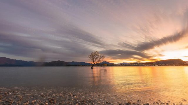 Beautiful Sunrise At Lake Wanaka With Autumn Leaves Littering The Lake Shore. Time lapse with stacked images creating beautiful short brush stroke effect on the clouds. Pan Right