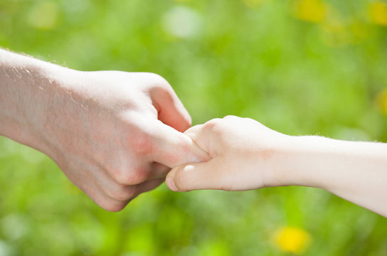 Hands of parent and child holding together