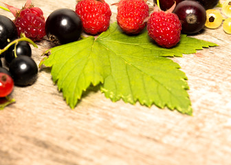 berrys - strawberry, currant, blackberry, raspberry...