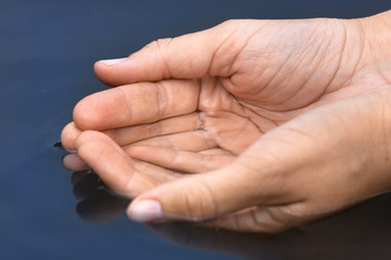 hands scooping clean water