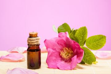 Obraz na płótnie Canvas Natural wild rose oil for organic care