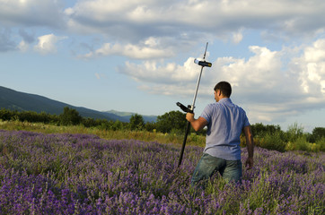Land surveyor crossing lavender field