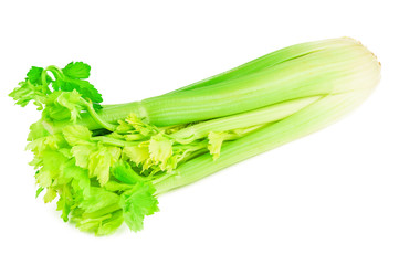 bunch of fresh celery