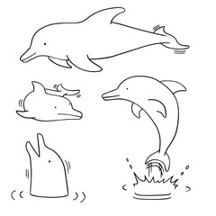 vector set of dolphin