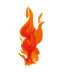 Fire concept represented by orange flame icon. Isolated and flat illustration 