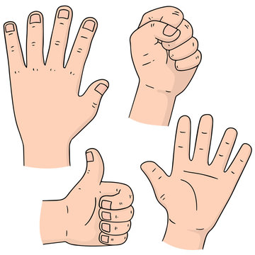 vector set of cartoon hand