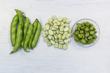 Broad beans in triple form :  pods, podded beans and cooked beans on a white table, top view