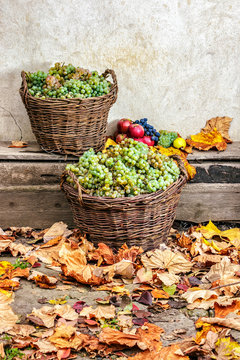 autumnal still life with fruit and leaves on a wooden base