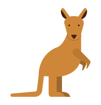 cute kangaroo isolated icon design