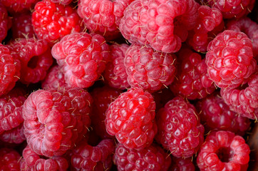 Fresh raspberries background closeup photo