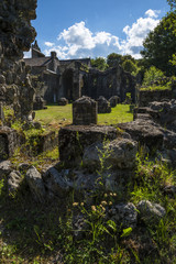 Mazan-l'Abbaye/ruines de l'abbaye