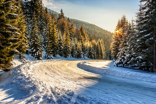 snowy road through spruce forest in mountains