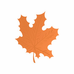 Maple leaf icon in cartoon style isolated on white background. Tree symbol