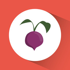 Nutrition and organic food concept represented by onion icon. Colorfull and flat illustration 