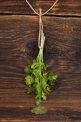 Cilantro herb.