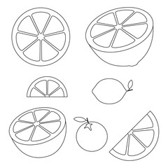 Collection of citrus slices - orange, lemon, lime and grapefruit, icons set, black isolated on white background, vector illustration.