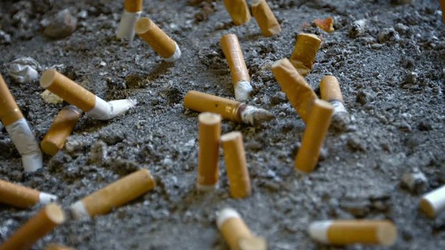 Video 1080p - Closeup view of a large number of discarded, filtered cigarette butts, crushed out and stuffed into the sand.