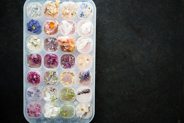 Tray with Frozen Flowers in Ice Cubes