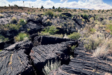 Lava covered with desert vegetation.  Fires Recreation Area