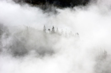 Amazing mountain landscape with dense fog. Carpathian Mountains