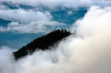 Amazing mountain landscape with dense fog. Carpathian Mountains