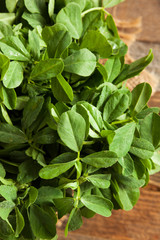 Raw Organic Fenugreek Methi Leaves