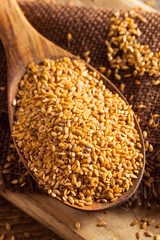 Obraz premium Raw Organic Golden Flax Seeds