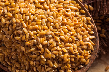 Raw Organic Golden Flax Seeds