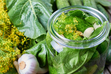 Home made pickles in brine with garlic, dill and horseradish