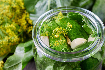 Home made pickles in brine with garlic, dill and horseradish
