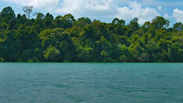 Forested bank of a broad river slips slowly aside as the camera's perspective drifts downstream on a sunny day.