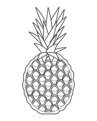 flat design whole pinapple icon vector illustration