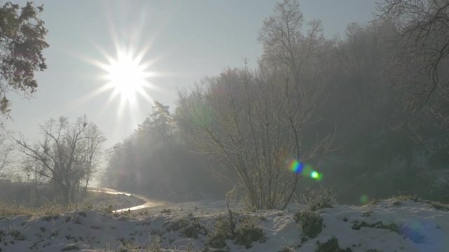 Early morning sun over park hill Kraljevica in Eastern Serbia 4K 3840X2160 UHD footage - Sun over forest on early morning 4K 2160p UHD video 
