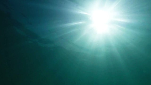 Rays of afternoon sunlight dance and play as they lance downward through the water, from the ocean surface, far above.