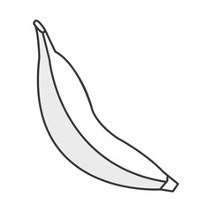 simple flat design whole banana icon vector illustration