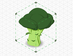 isometric broccoli in bounding box