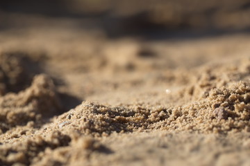 Sand