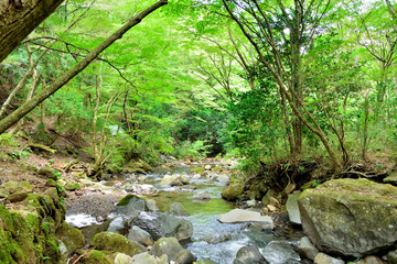 日光　龍王峡　渓流