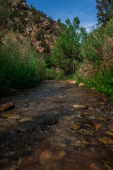 Fototapeta na wymiar Kanarra Creek Trail